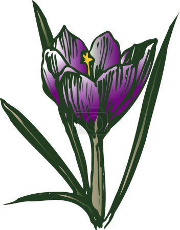 Téléchargez les photos : Fleur dessinée à la main isolée sur fond blanc - en image libre de droit