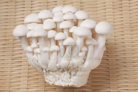 Photo for Close-up view of fresh white mushrooms on wicker background - Royalty Free Image