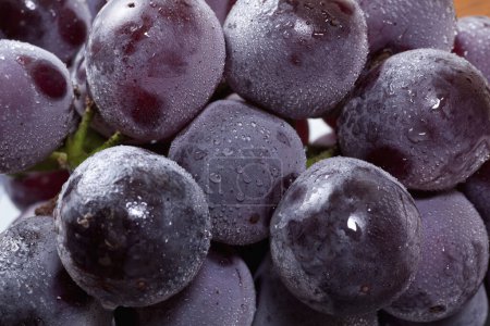 Téléchargez les photos : Grappe de raisins bio frais mûrs, vue rapprochée - en image libre de droit