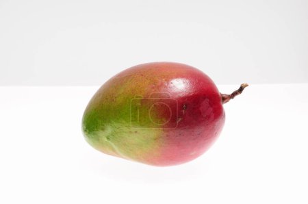 Foto de Fruta madura del mango sobre un fondo blanco - Imagen libre de derechos