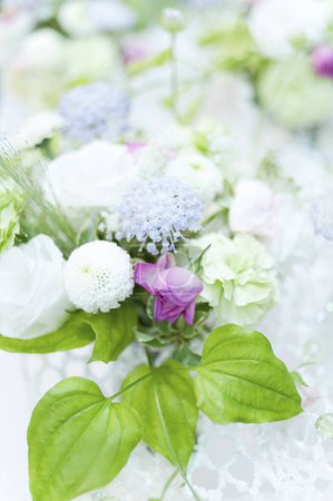 Téléchargez les photos : Fleurs colorées sur fond flou - en image libre de droit