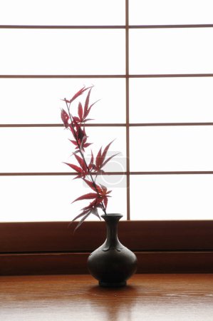 Photo for Red japanese maple tree branch in vase on window sill - Royalty Free Image