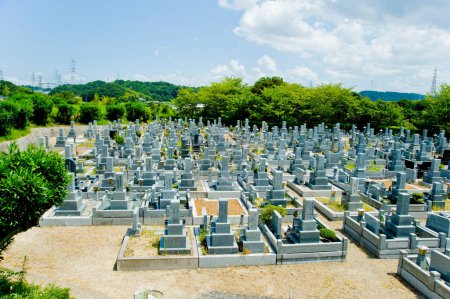 Téléchargez les photos : Cimetière avec des tombes à l'été au Japon sur fond - en image libre de droit