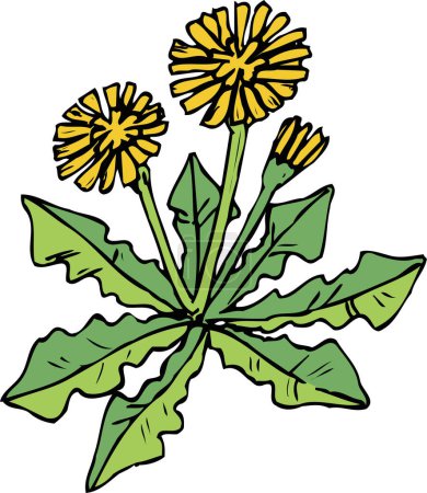Foto de Flores y hojas amarillas sobre fondo blanco - Imagen libre de derechos