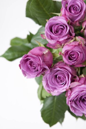 Téléchargez les photos : Bouquet de roses sur fond, gros plan - en image libre de droit