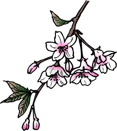Foto de Planta verde sobre fondo blanco, ilustración hecha a mano de la flor casera - Imagen libre de derechos