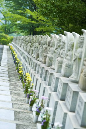 Téléchargez les photos : Cimetière avec des tombes à l'été au Japon sur fond - en image libre de droit