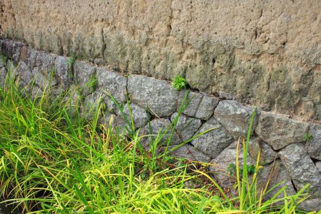Photo for Green grass on stone wall  on nature background - Royalty Free Image