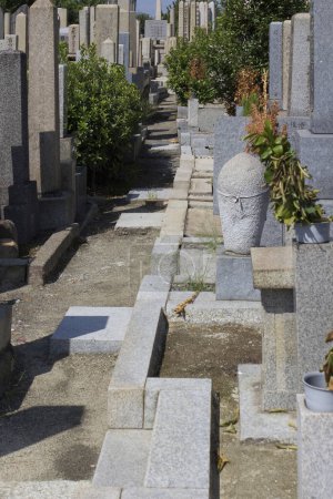 Photo for Japanese tombstones and graveyard in Japan - Royalty Free Image