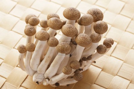 Téléchargez les photos : Vue rapprochée des champignons biologiques frais sur tapis de bambou - en image libre de droit