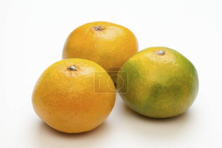 Téléchargez les photos : Vue rapprochée de mandarines fraîches mûres sur fond blanc - en image libre de droit