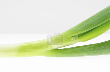 Fresh green onion isolated on white background.