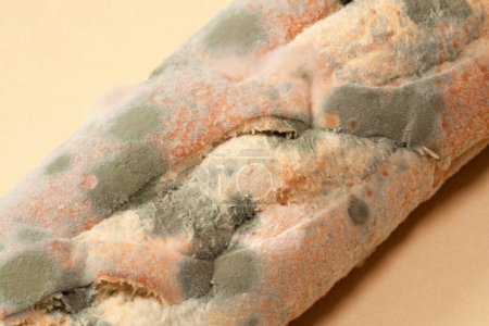 Foto de Viejo molde verde en el pan de centeno. - Imagen libre de derechos