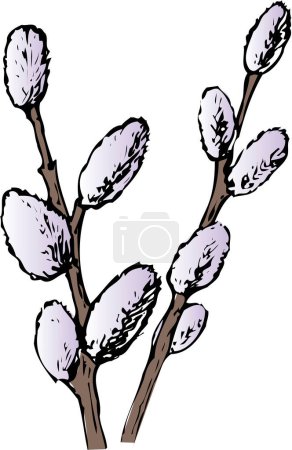 Téléchargez les photos : Branche de fleurs blanches sur fond blanc - en image libre de droit