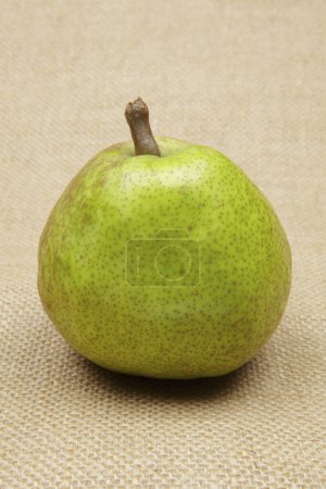 Photo for Close-up view of fresh and tasty organic pear on rustic background - Royalty Free Image