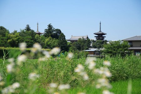Vista del Templo Horyu-ji, Tesoro Nacional de Japón