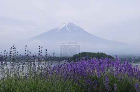 Foto de Hermoso paisaje de montaña fuji en japón - Imagen libre de derechos