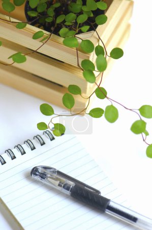 Téléchargez les photos : Bloc-notes et crayon sur table avec feuilles vertes - en image libre de droit