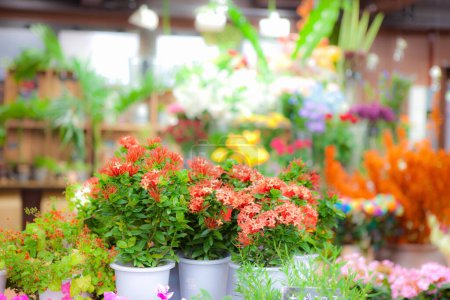 Téléchargez les photos : Belle boutique de fleurs sur le marché - en image libre de droit
