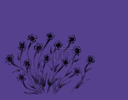 Téléchargez les photos : Fleurs simples dessinées à la main noires sur violet - en image libre de droit
