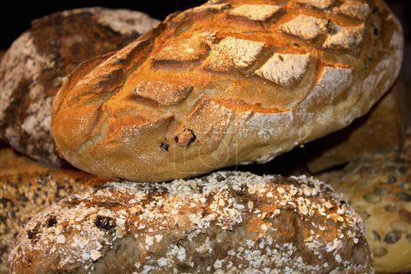 Photo for Fresh baked bread on background, closeup - Royalty Free Image