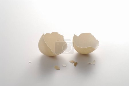 Foto de Dos cáscaras de huevo rotas sobre una superficie blanca - Imagen libre de derechos