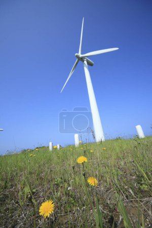 Téléchargez les photos : Éolienne dans le champ avec des fleurs sur fond de nature - en image libre de droit