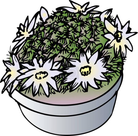 Téléchargez les photos : Plante verte sur fond blanc, illustration faite à la main de fleur de maison - en image libre de droit