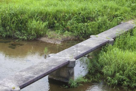 Téléchargez les photos : Un pont sur un petit ruisseau dans une zone herbeuse - en image libre de droit