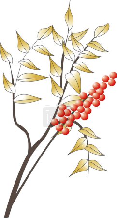 Photo for Green plant on white background, hand made illustration of home plant with berries - Royalty Free Image