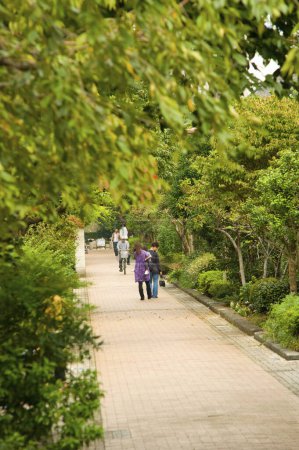 Téléchargez les photos : Jardin japonais. Parc de Setagaya - en image libre de droit