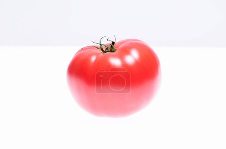Photo for A tomato on a white surface with a white background - Royalty Free Image