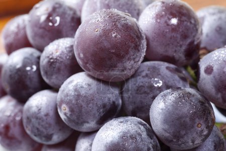Téléchargez les photos : Grappe de raisins bio frais mûrs, vue rapprochée - en image libre de droit