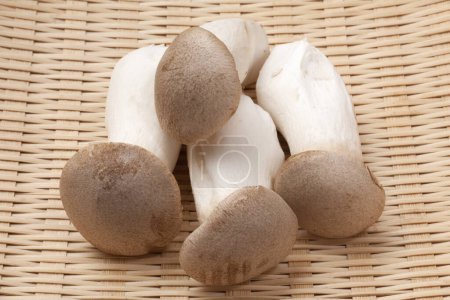 close-up view of fresh eryngii mushrooms on wicker background     