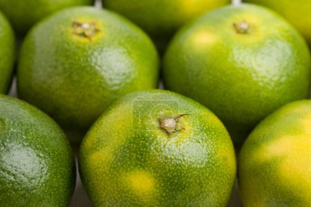 Téléchargez les photos : Limes vertes. fond de fruits. vue rapprochée - en image libre de droit