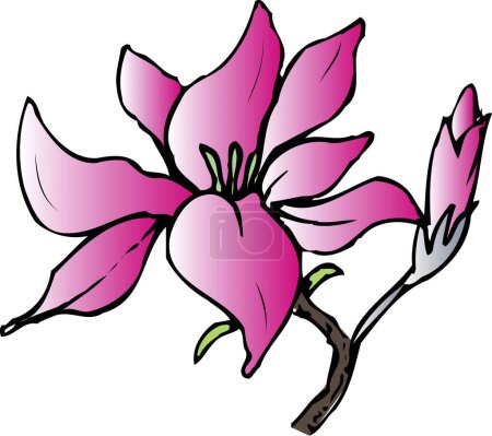 Téléchargez les photos : Fleur dessinée à la main isolée sur fond blanc - en image libre de droit