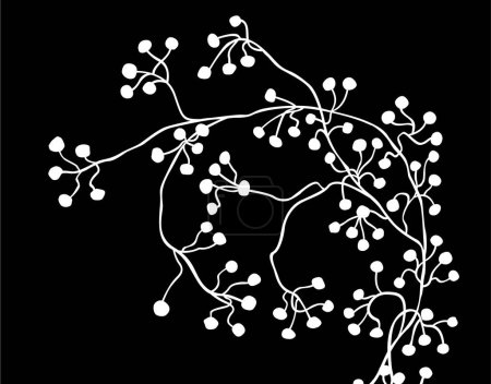 Foto de Rama blanca con bayas sobre fondo negro - Imagen libre de derechos