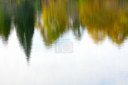 Téléchargez les photos : Reflet des arbres dans l'eau dans le parc en automne - en image libre de droit