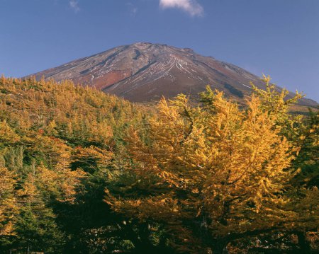 Téléchargez les photos : Mont Fuji et couleurs d'automne, Japon - en image libre de droit