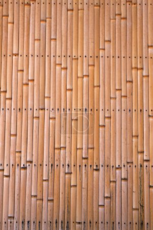 Foto de Fondo de textura de pared de bambú, primer plano - Imagen libre de derechos