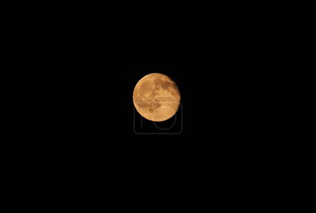 Téléchargez les photos : Une pleine lune dans le ciel sombre sur fond de nature - en image libre de droit