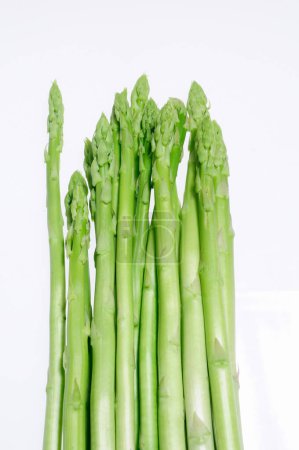 Photo for Fresh green asparagus on white background - Royalty Free Image