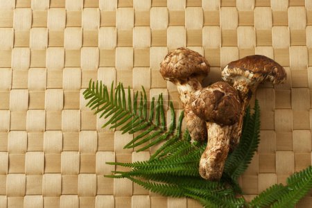 Photo for Close-up view of fresh organic mushrooms and green fern leaves on bamboo mat - Royalty Free Image