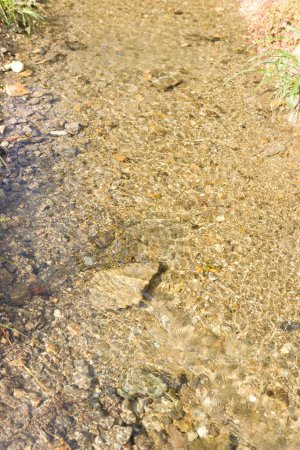 Photo for Background of stream with clear water - Royalty Free Image