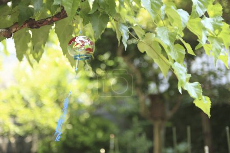 Photo for Close up view of beautiful Japanese wind chime on nature background - Royalty Free Image