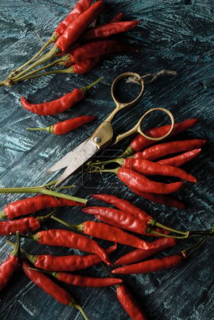 Photo for A bunch of red hot peppers with a pair of scissors - Royalty Free Image