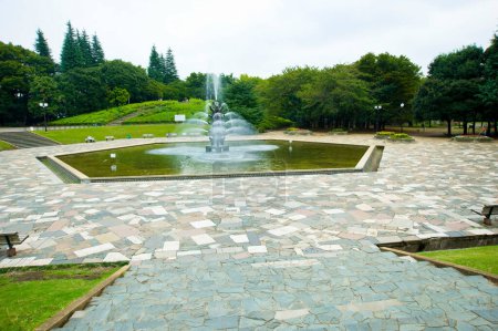Téléchargez les photos : Jardin japonais. Parc de Setagaya - en image libre de droit