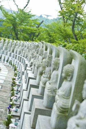 Foto de Hermoso cementerio tranquilo con tumbas en verano en Japón - Imagen libre de derechos