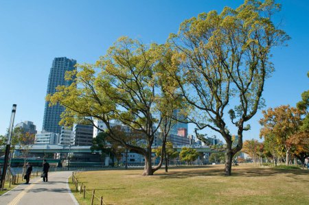Photo for An Image of Nakanoshima Park in City - Royalty Free Image