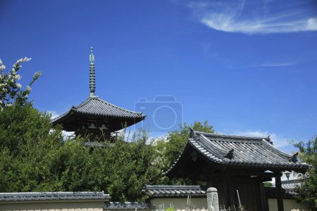 Blick auf den Horyu-ji-Tempel, Nationalschatz Japans